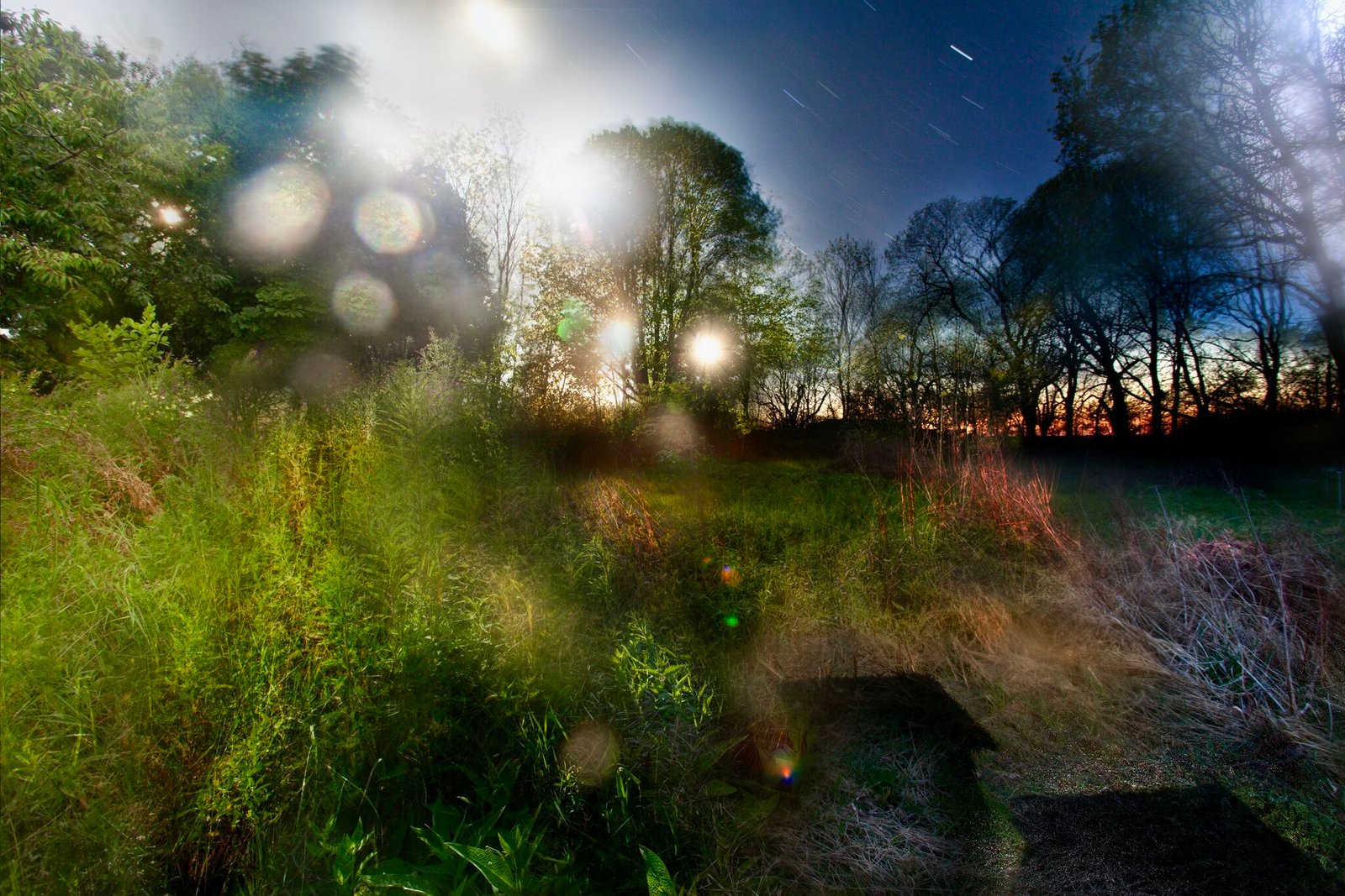 Landscapes in Motion
