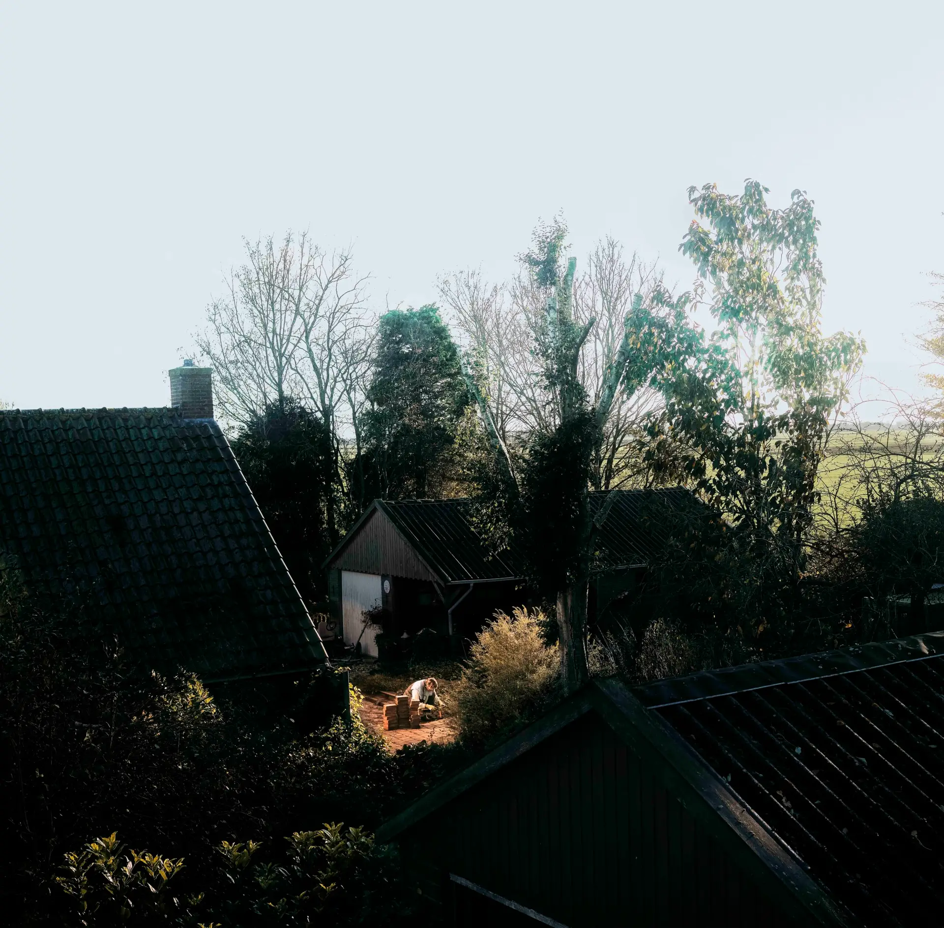 A photographic study of rooftops, trees and a garden, with a person working below