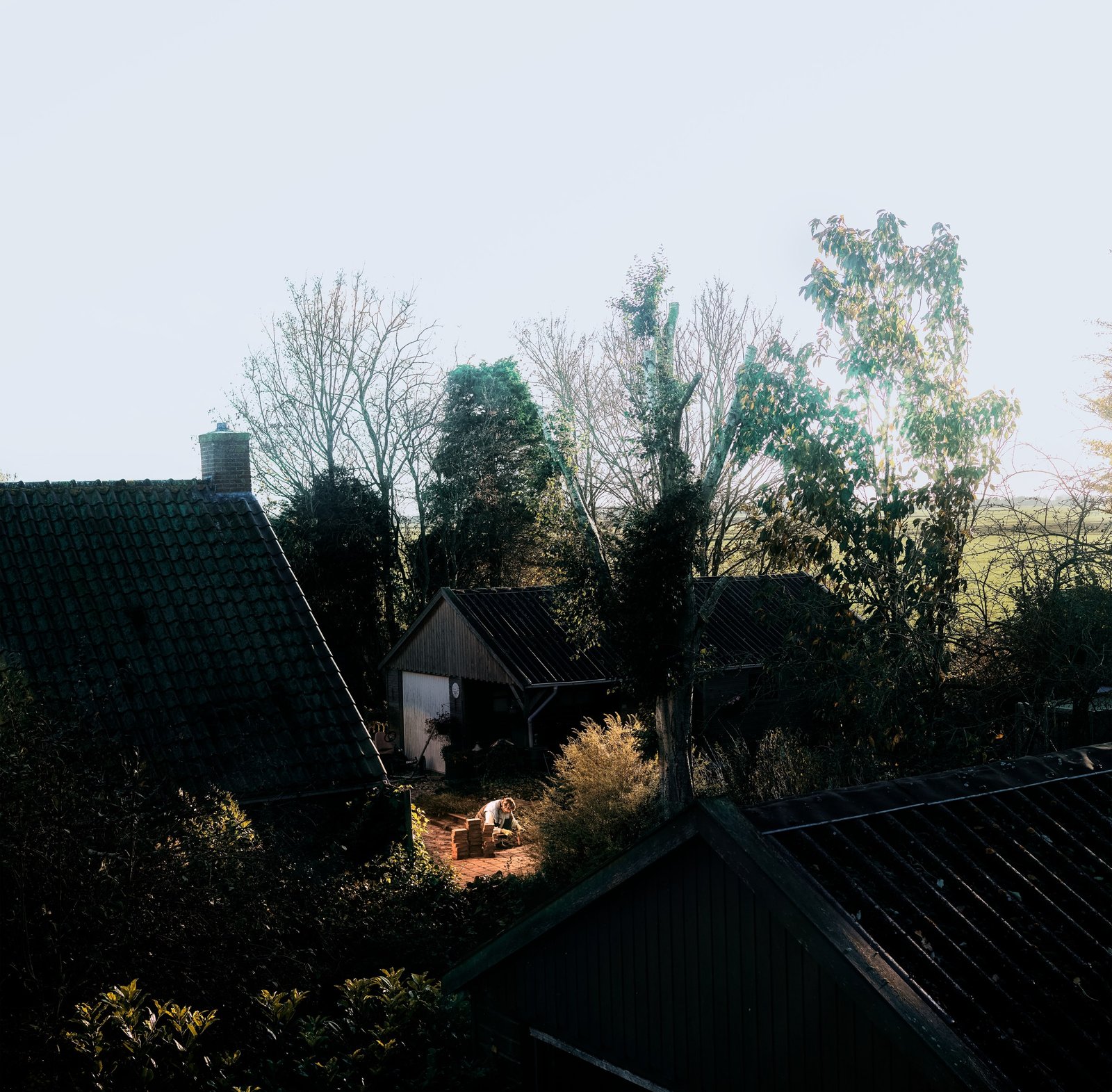 A garden and rooftops seen from above