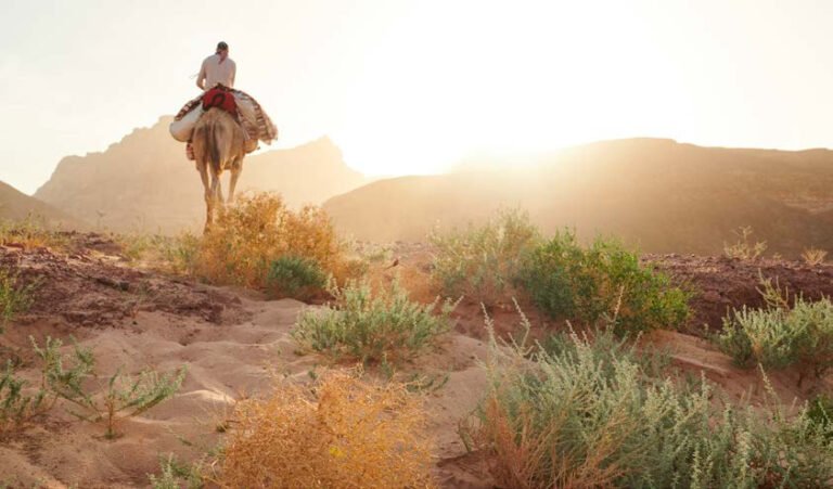 Camel rider in a rocky landscape at golden hour
